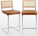 Modern Rattan Bar Stools Set of Two for Kitchens