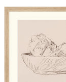 Artichokes