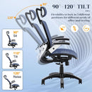 Blue Ergonomic Mesh Office Chair With Lumbar Support