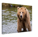 Bear in the Lake - Print