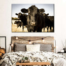 Black Angus Cattle Wall Art