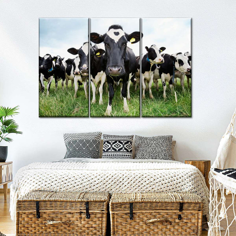 Holstein Cows Wall Art