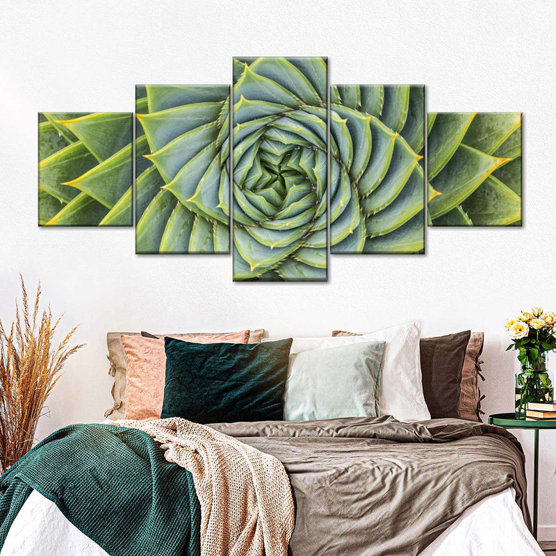 Spiral Succulent Wall Art