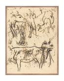 Herd Study