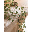 Begonia Leaf Hanging Vine 27" Long