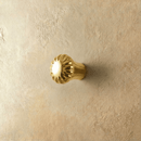 Berdo Knob & Pull Bar