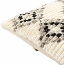 Wolfurt Beige Pillow Cover