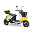 Bespoke Supreme Premium Electric Mobility Scooter With Electronic Speed Control (SAK19673)
