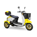 Bespoke Supreme Premium Electric Mobility Scooter With Electronic Speed Control (SAK19673)