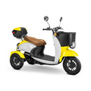 Bespoke Supreme Premium Electric Mobility Scooter With Electronic Speed Control (SAK19673)