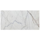 bianco rigata white exotic marble 24x48 polished top single view