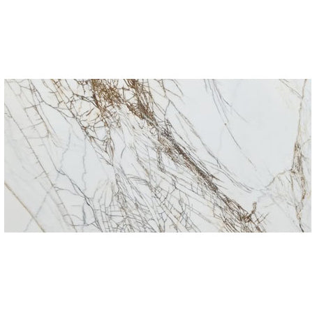 bianco rigata white exotic marble 24x48 polished top single view