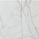 bianco rigata white exotic marble 24x24 polished top single view