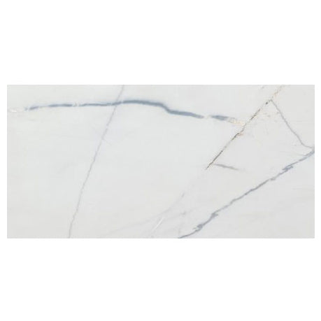 bianco rigata white exotic marble 24x48 polished top single view