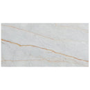 bianco venato white exotic marble 18x36 polished single top view4
