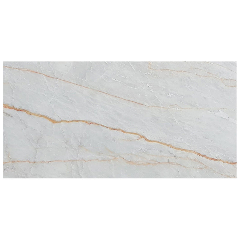 bianco venato white exotic marble 18x36 polished single top view4