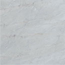 bianco venato white exotic marble 24x24 polished single top view