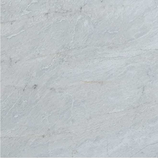 bianco venato white exotic marble 24x24 polished single top view