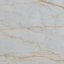 bianco venato white exotic marble 24x24 polished single top view5