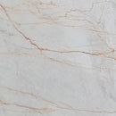 bianco venato white exotic marble 24x24 polished single top view