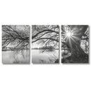 Black Sunset Canvas Art