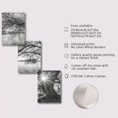 Big Tree Sunset Canvas Posters