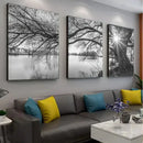 Big Tree Sunset Canvas Posters