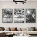 Big Tree Sunset Canvas Posters