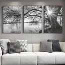 Big Tree Sunset Canvas Posters
