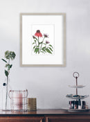 Big Red - Open Edition Paper Print