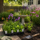 Bird Sanctuary Live Plant Landscape Kit | Prairie Legacy Inc.