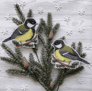 Birds Plastic Plastic Canvas Counted Cross Stitch Kit P-157 / SR-157
