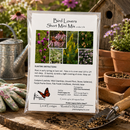 Backyard Bird Wildflower XL Bundle | Tall & Short Mini Mixes and Backyard Bird Buffet  | Prairie Legacy Inc.