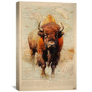 Bison Canvas