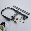 Black bronze dual spout kitchen faucet with led sprayer