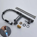 Black bronze dual spout kitchen faucet with led sprayer