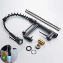 Black bronze dual spout kitchen faucet with led sprayer