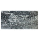 black leopard marble tile 18x36 polished one tile top view