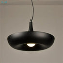 Black matte babylon garden pot plants pendant light kitchen ivy decor