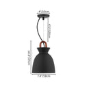 Zire Pendant Light