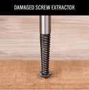 DecorBites™ Bolt Extractor Kit: Broken Screw Remover & Drill Bits Set