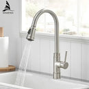 DecorBites™ Black Single Handle Pull Out Kitchen Faucet Swivel 360° Water Mixer Tap