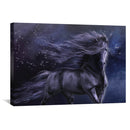 Black Thunder Canvas