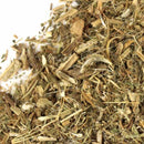 Blessed Thistle