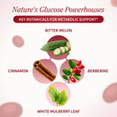Heart Health, Blood Sugar & Cholesterol Health Bundle