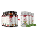 Blood Sugar Bundle With 3 Free Blood Sugar Gummies