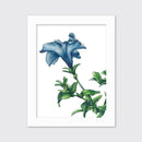 Blue - Open Edition Paper Print