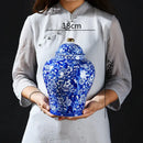 Blue & white porcelain pot sealed storage tank kitchen ginger jar