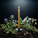 Hand-Dipped Beeswax Taper Candles - Bulk 4-Pair Bundle