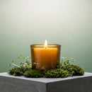 Heavy Glass Votive Candle Holders - 50% Recycled Glass